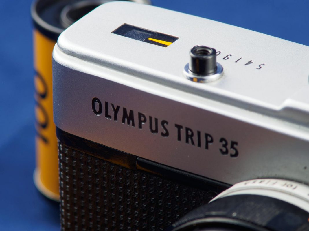 Film Released Early: How Popular Demand Drove an Unplanned Launch